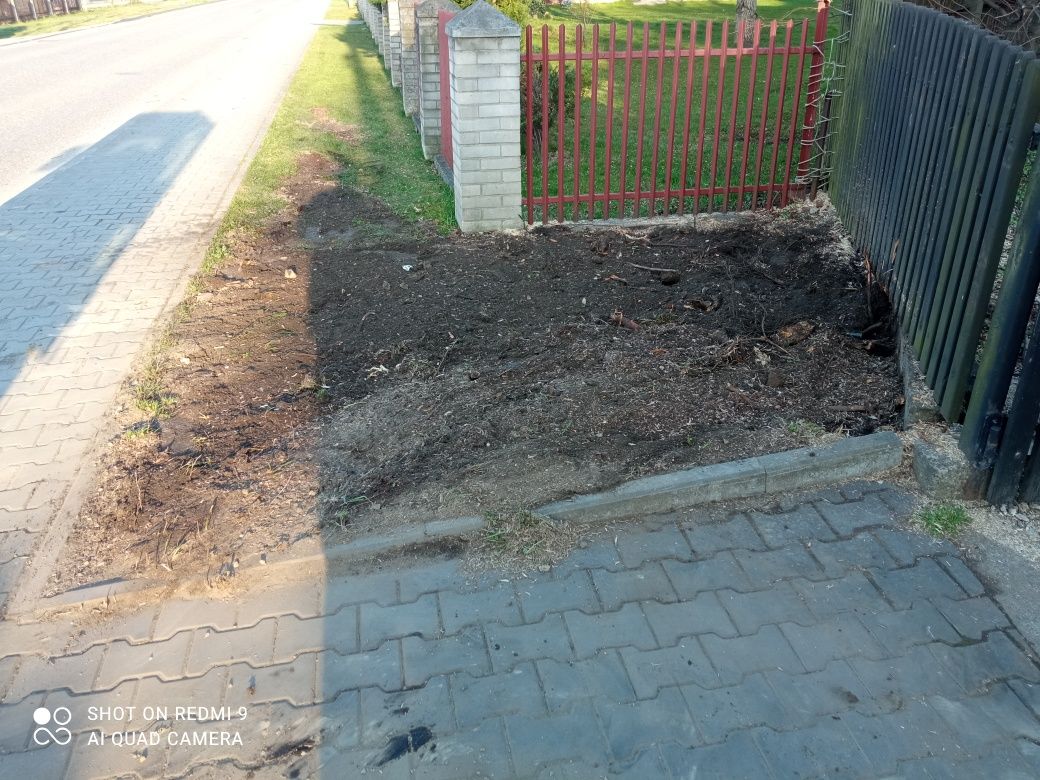 Frezowanie Pni Usługi Minikoparką Bochnia Kraków Brzesko KOTERBA