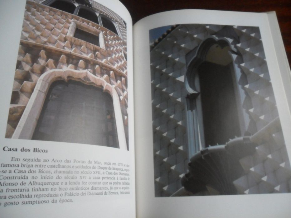 "Lisboa - A Cidade e o Rio" de Afonso Manuel Alves e Luís Leiria Lima