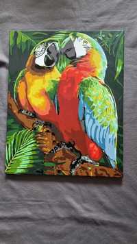 Obraz na płótnie Kolorowe Tropikalne Papugi naciągnięty na ramę