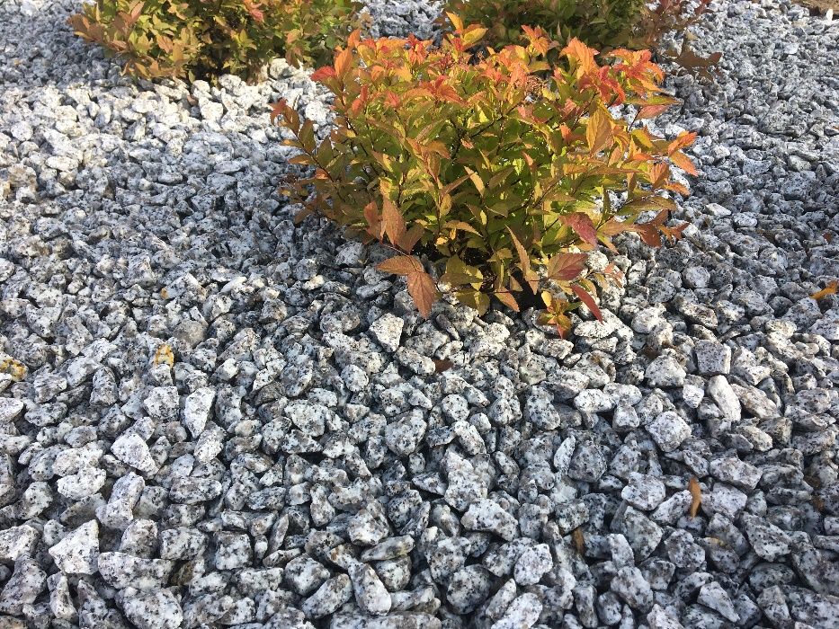 Grys granitowy Dalmatyńczyk 16-22  8-16 mm kamień ogrodowy dekoracyjny