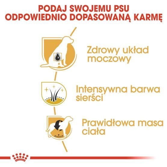Karma dla psów dorosłych rasy Schnauzer Miniaturowy Royal Canin 3kg