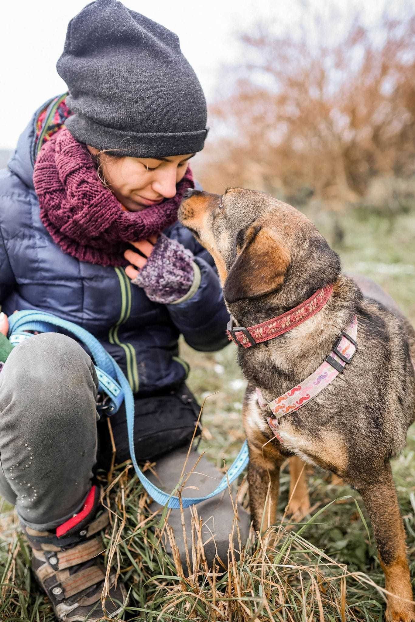 Szaruś - pokoloruj jego świat ADOPCJA młodego psiaka