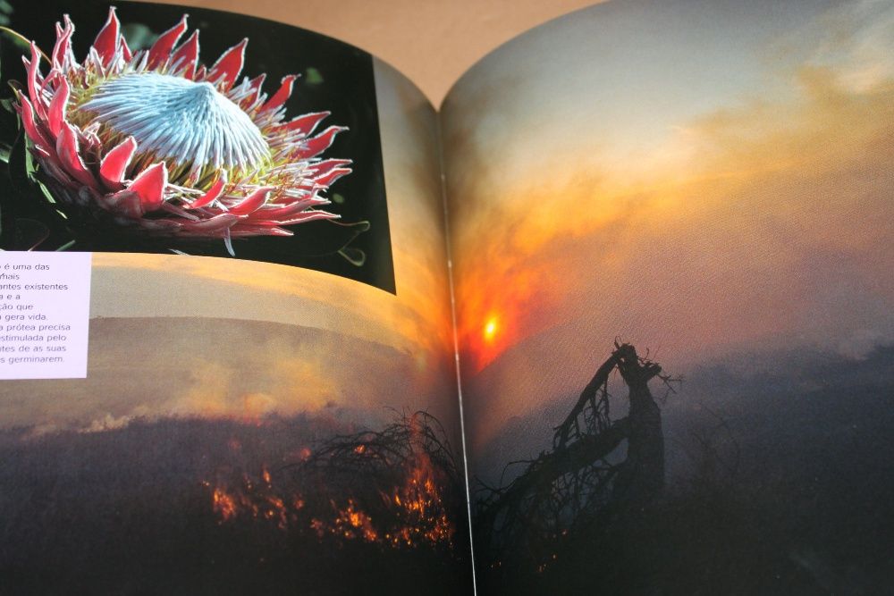 Supernatural - Os Poderes Ocultos dos Animais