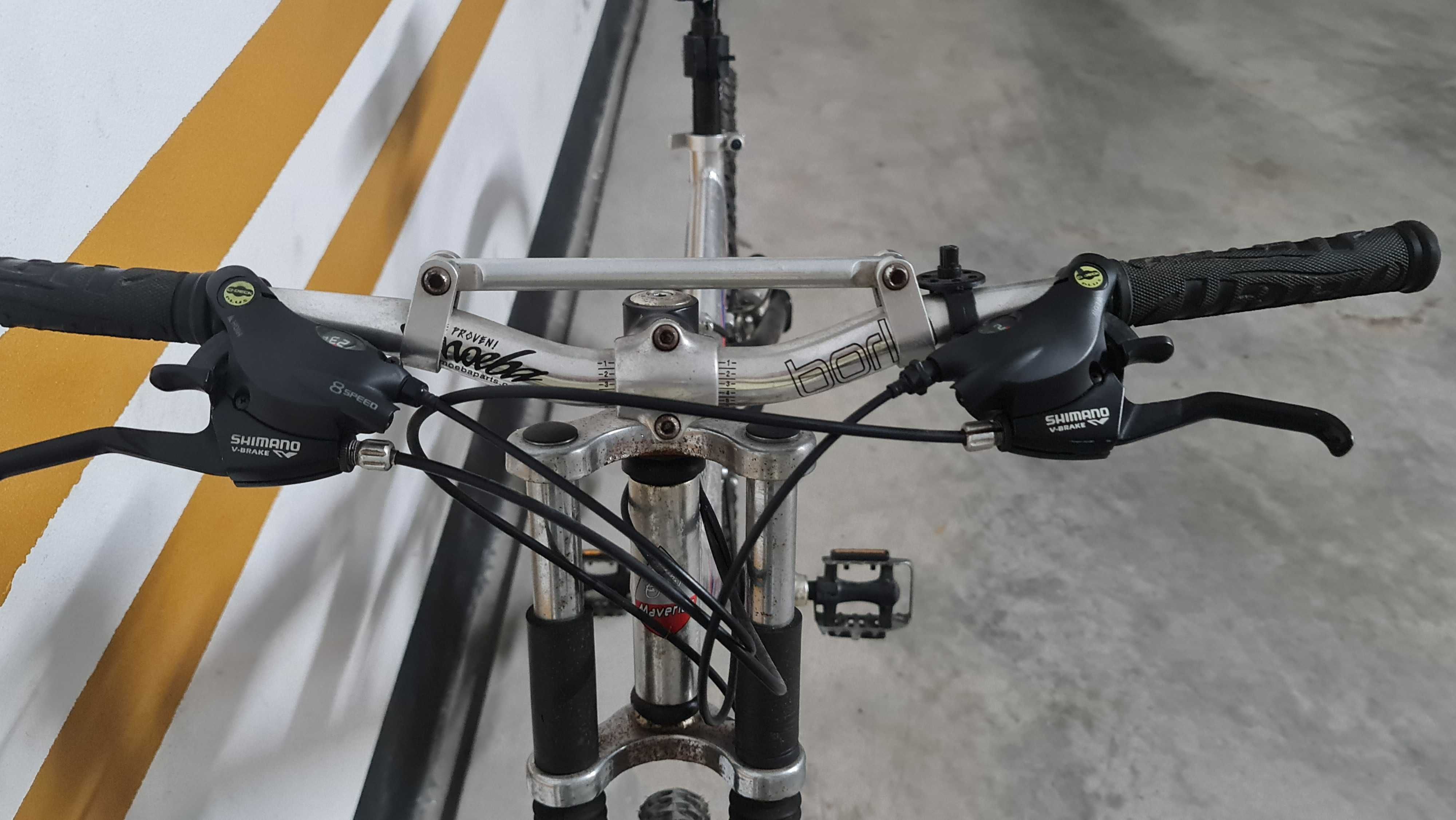 Bicicleta tipo Downhill