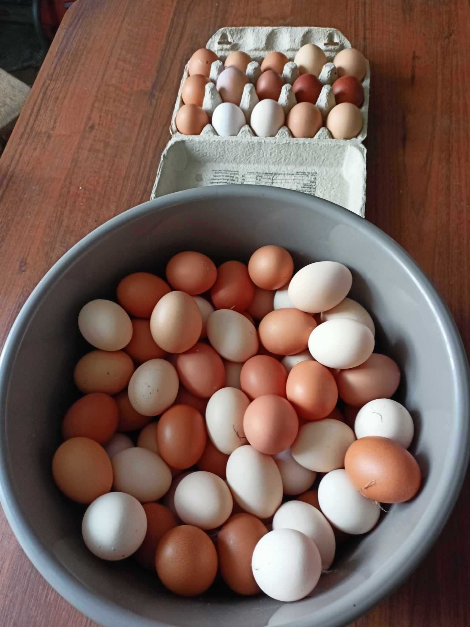Swojskie jajka z 20 arowego wybiegu
