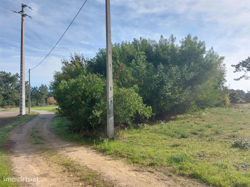 Terreno agrícola em Covão do Lobo, Vagos