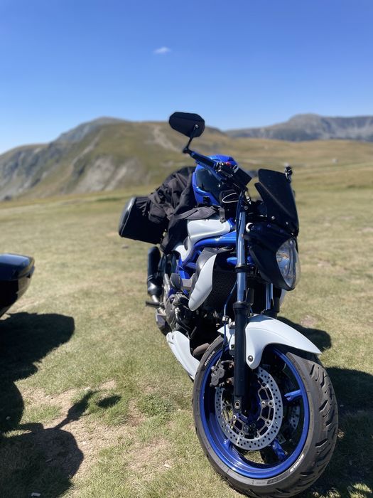 Suzuki sfv650 Gladius 650