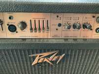 Комбоусилитель для акустической гитары Peavey 125W