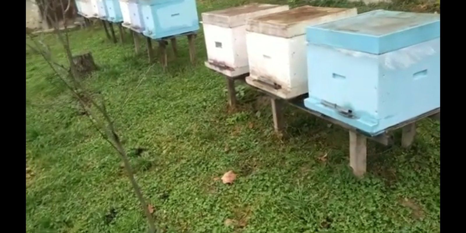 Продам вулики ппу хімексилен 12 рамкові