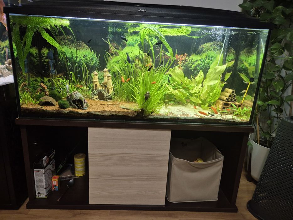 Akwarium 240l +szafka i filtr