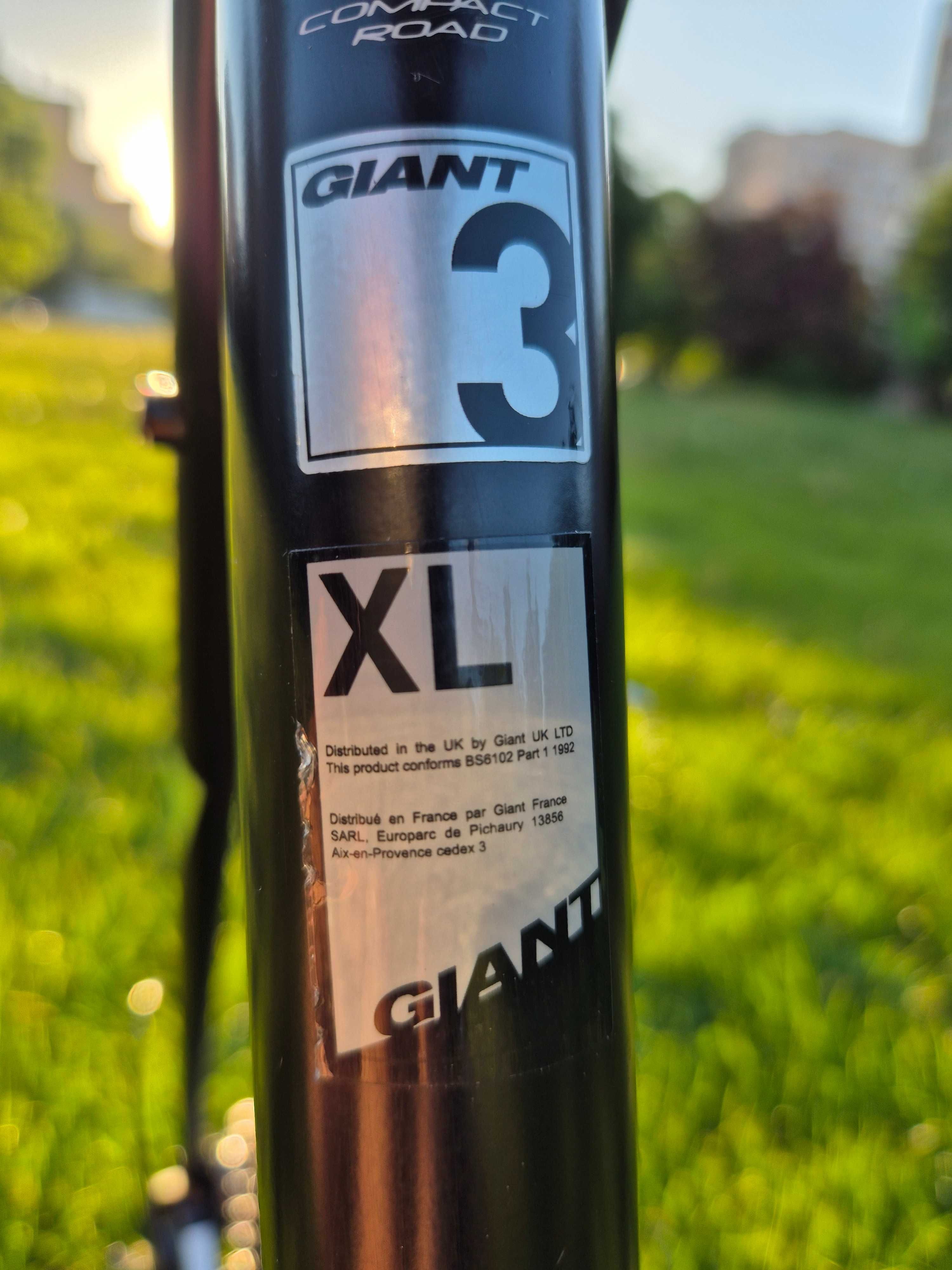 GIANT DEFY 3 XL | tanio jak barszcz!