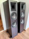 Audiosymptom i8 Carbon Walnut zmodyfikowane zwrotnice