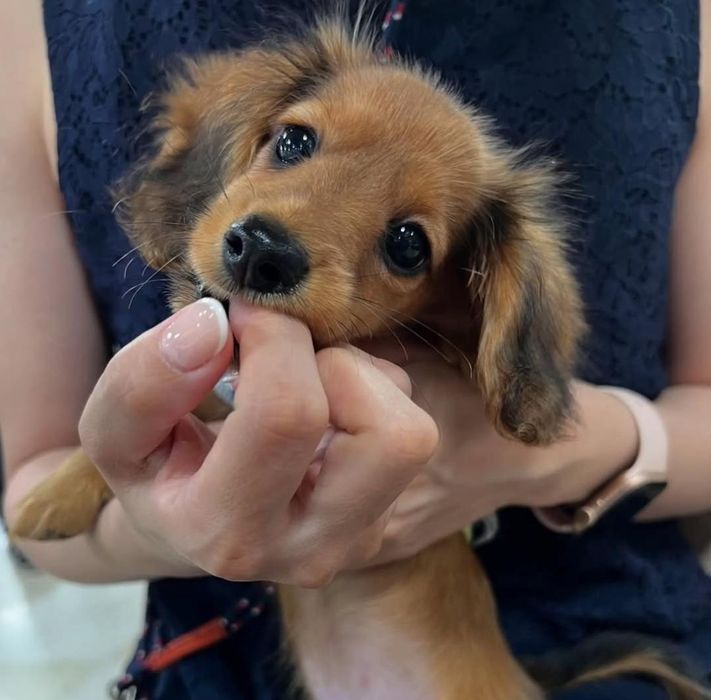 Дитина з хорошим люблячим характером.