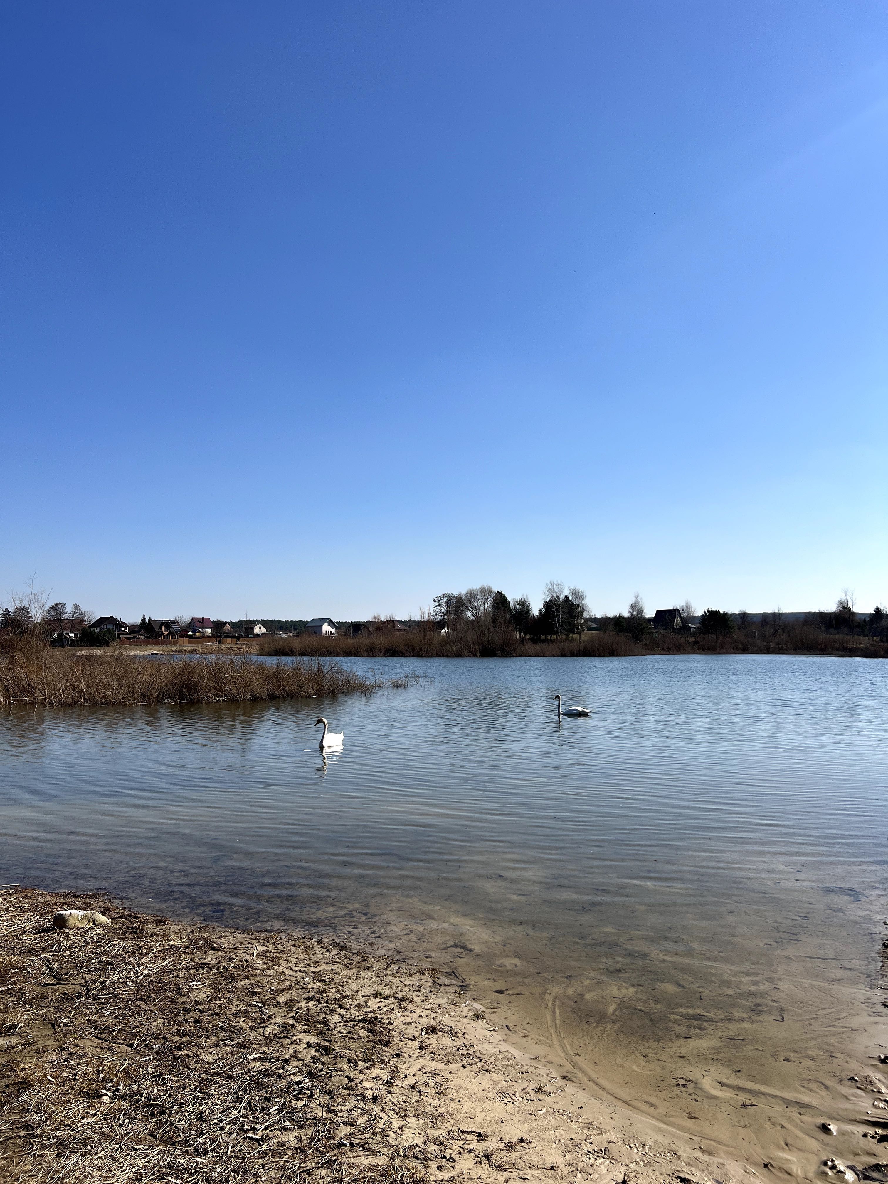 Продаж ділянок 100м до водойми