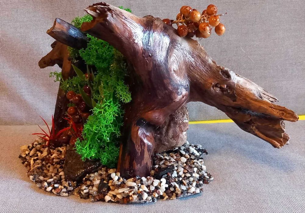 Ozdoba do akwarium – korzeń z mchem