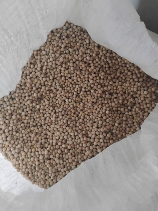 Sprzedam groch workowany