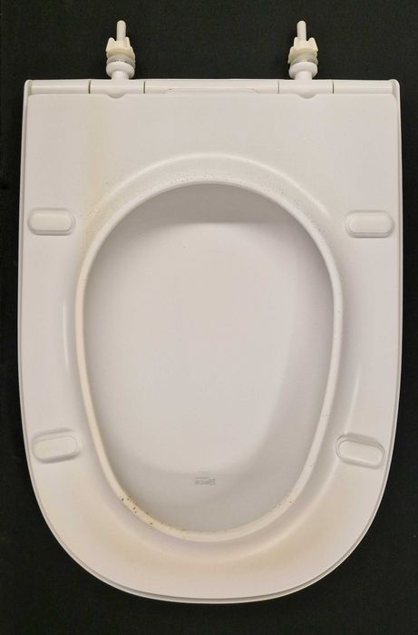 Tampa Sanita Roca DAMA