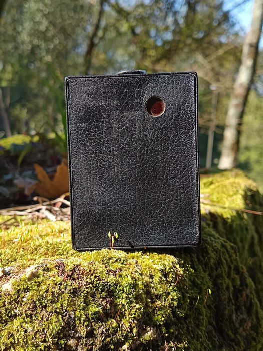 Câmara fotográfica Kodak Six-20 Target Hawkeye (Câmara box/caixote)