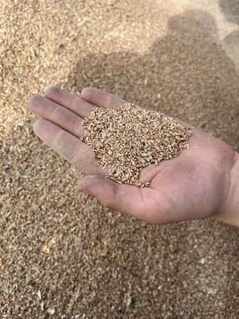 Зернові відходи пшениця