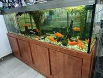 Akwarium Aqua Boro 1000l