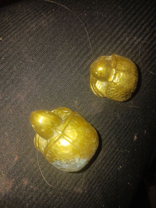 Duas tartarugas antigas