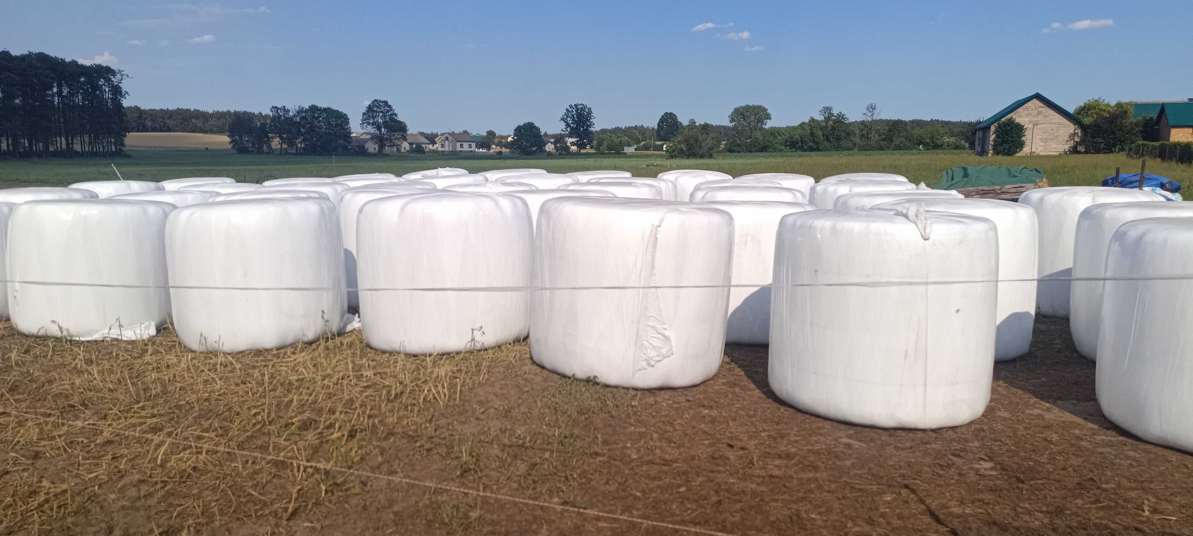 Sianokiszonka trawa z kończyną, bele 130