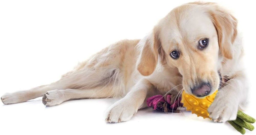 Acecy Zabawka dla psa piszczący ananas