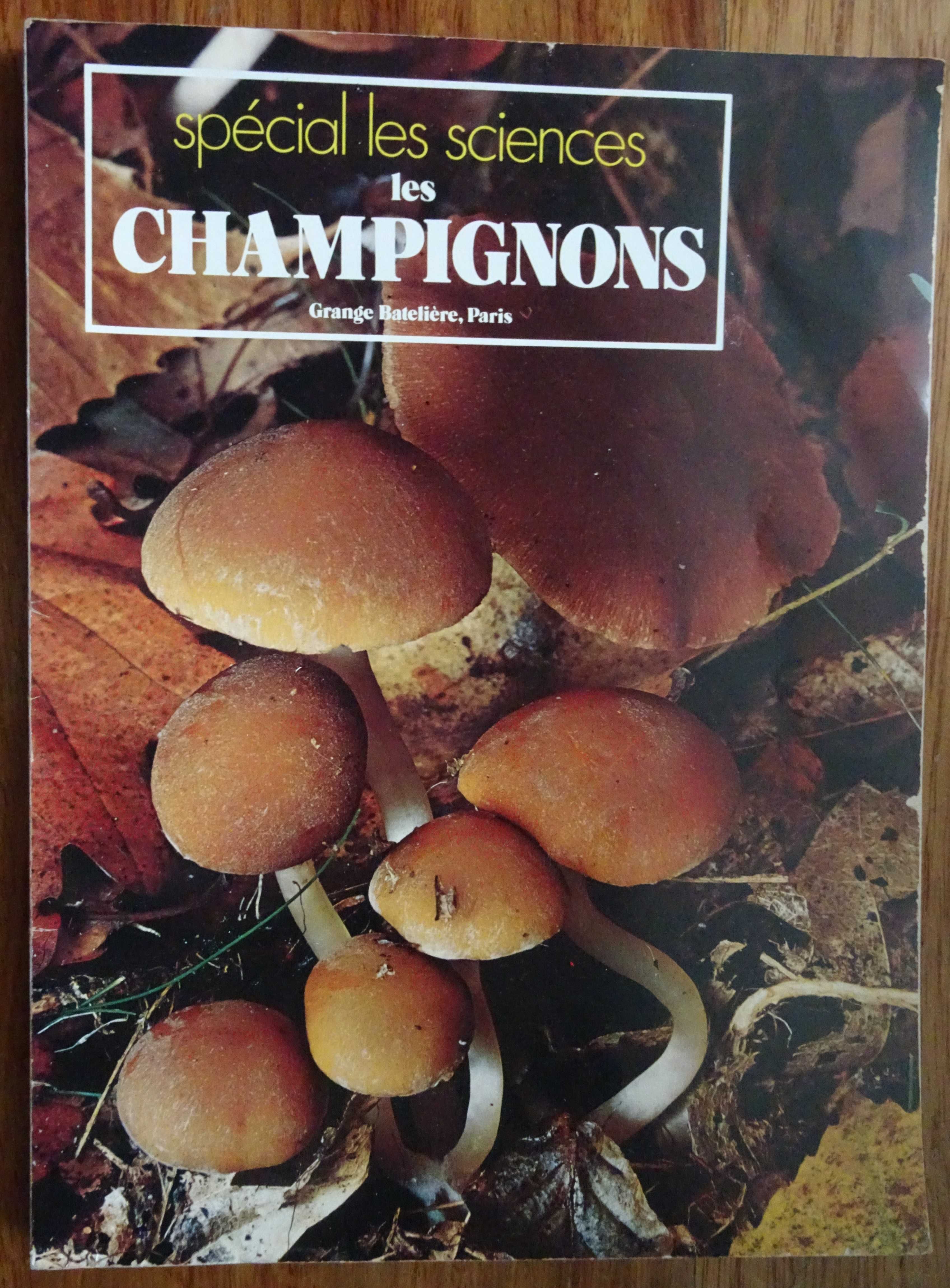 Os Cogumelos (Les Champignons)
