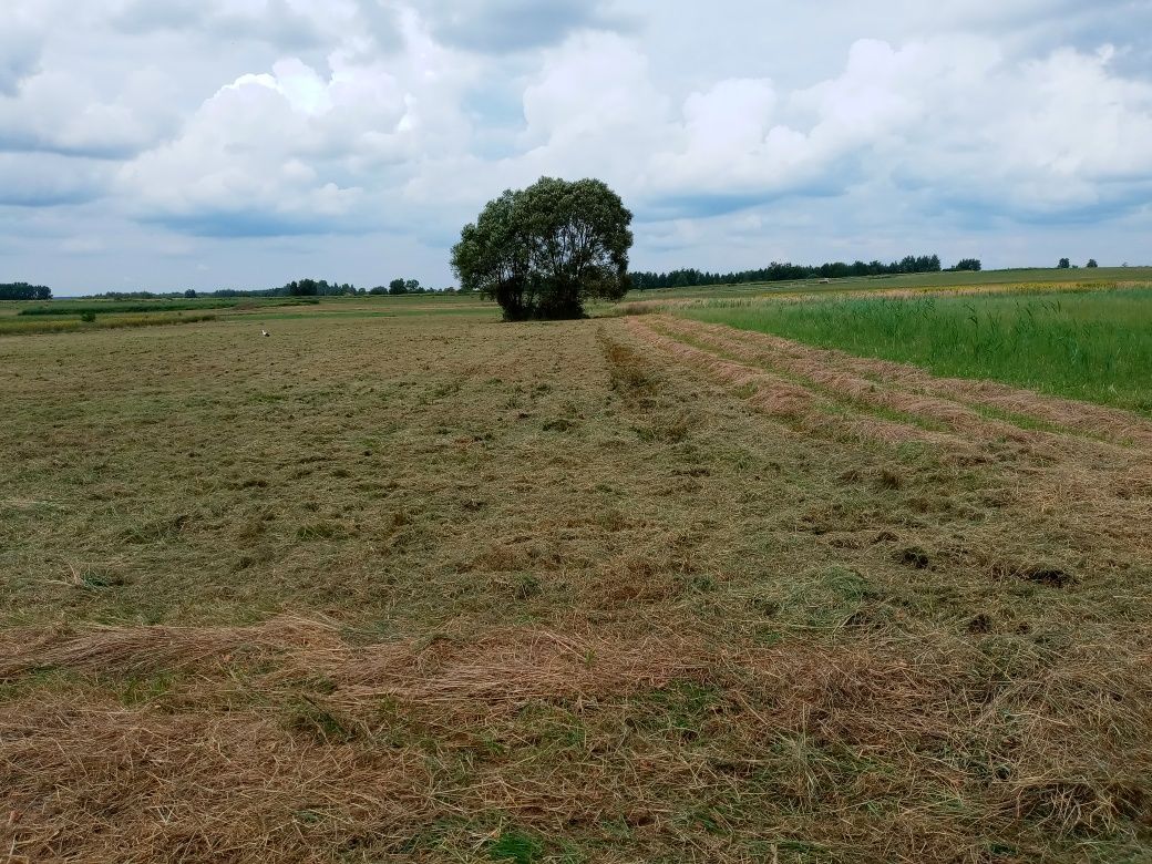 Koszenie kosiarka bijakową