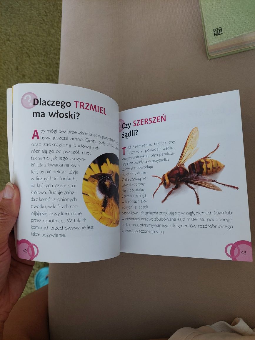 1000 pytań zwierzęta, książka