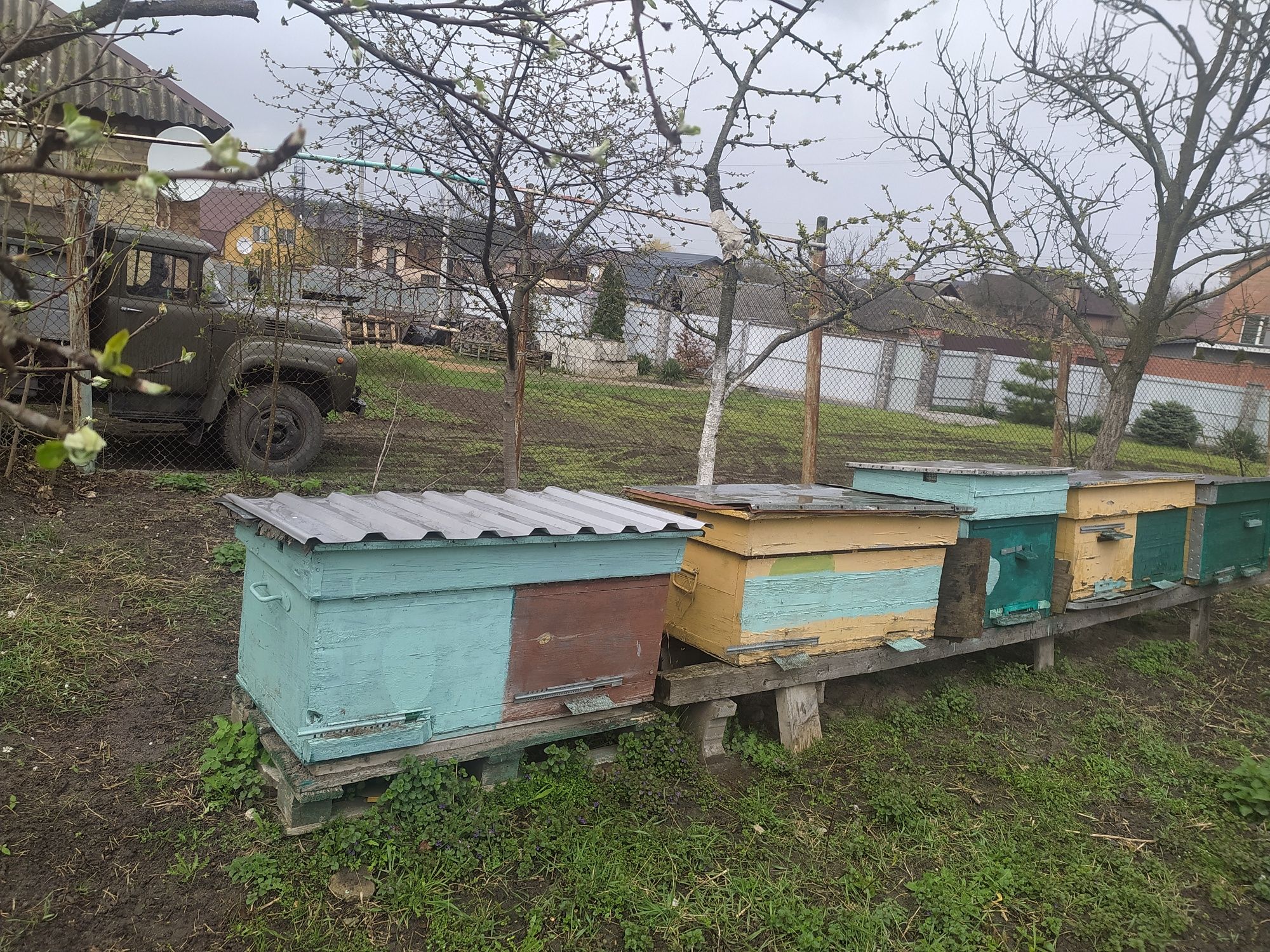 Вулики бджолині (5 штук)