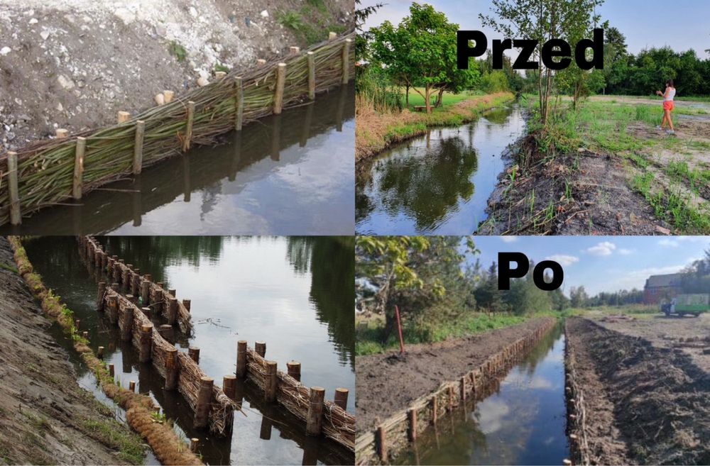 Arborysta wycinka drzew na wysokosci i nie tylko pielęgnacja drzew