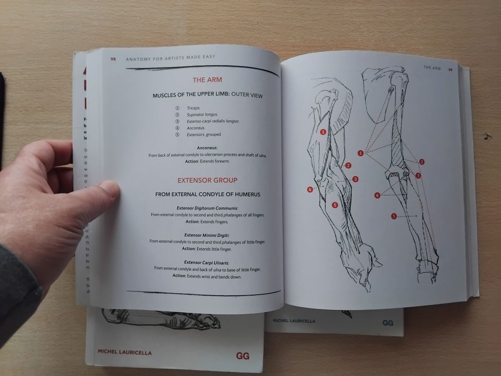Livros de anatomia artística