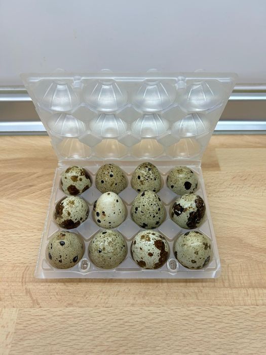 Ovos de codorniz