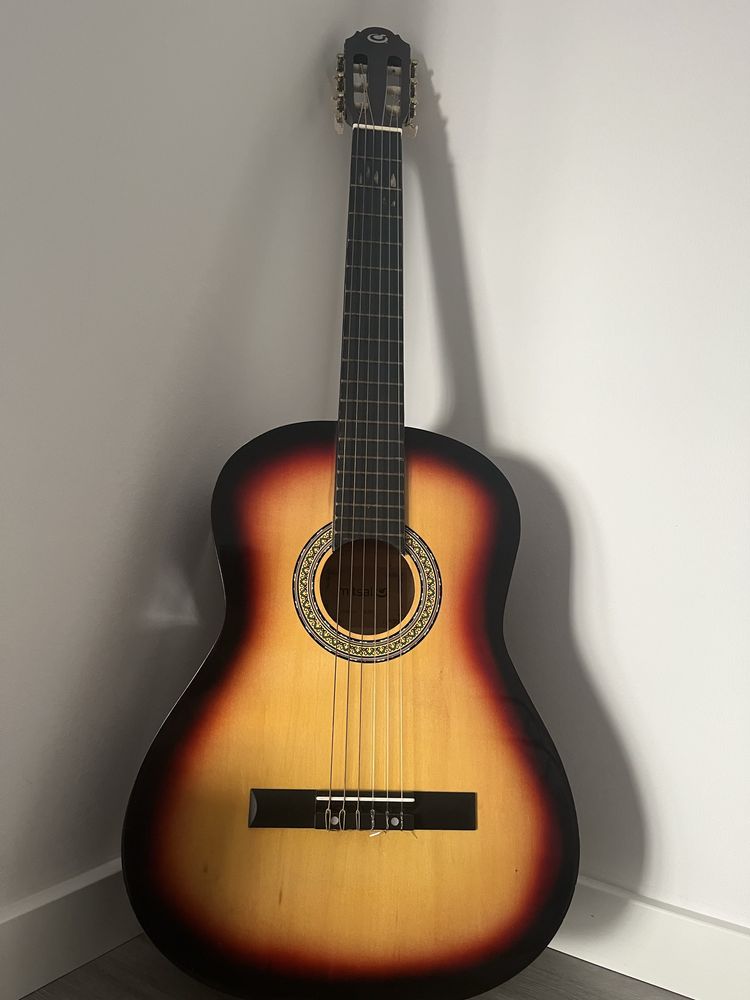Viola semi nova
