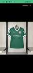 Palmeiras 25 26 todos os tamanhos disponíveis
