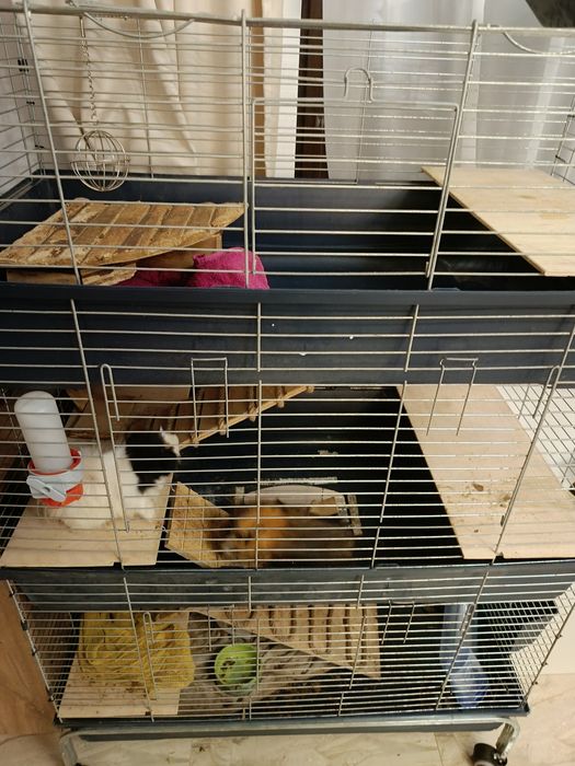 Klatka dla gryzoni pietrowa 3pietra dla koszatniczki