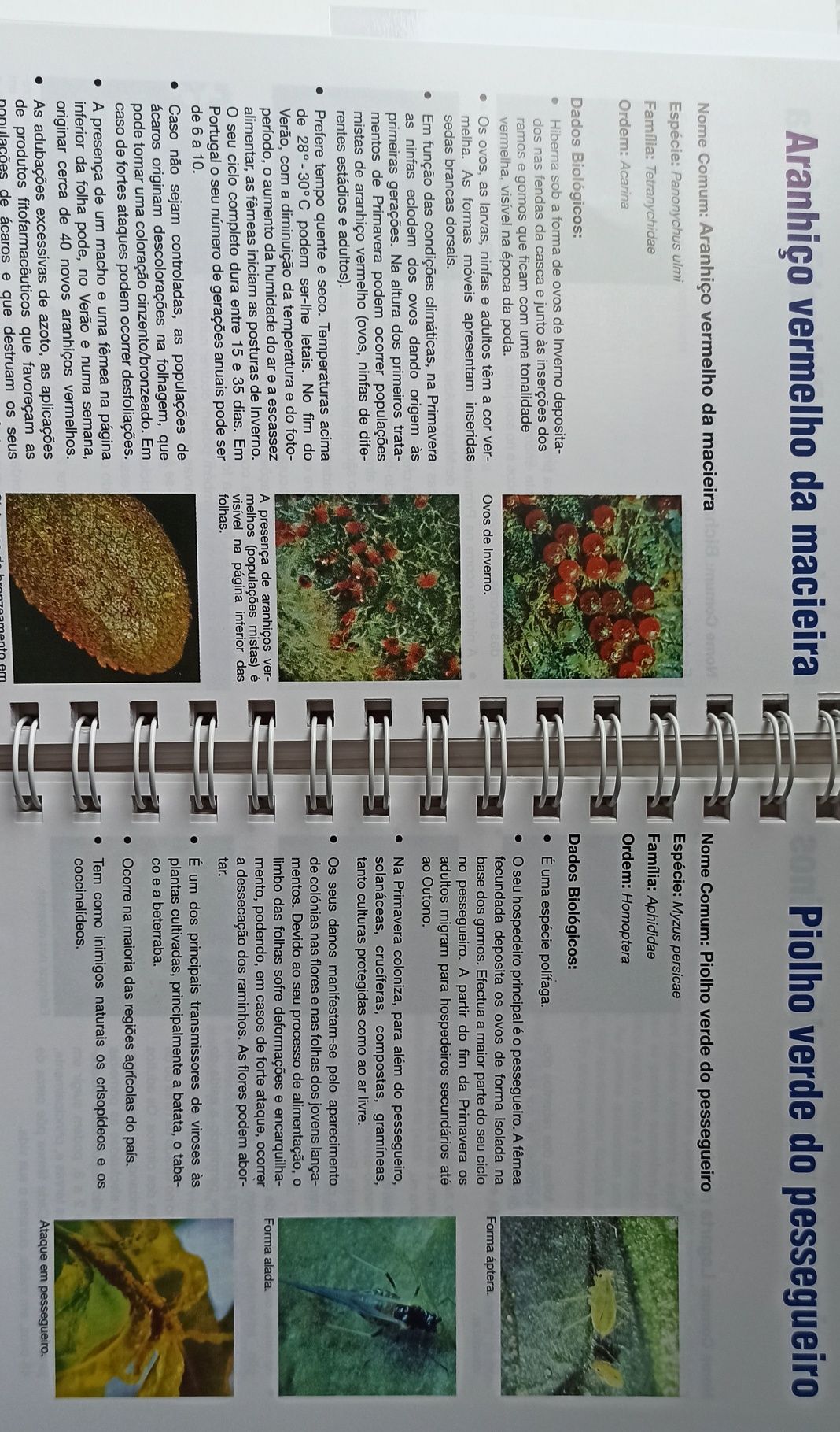 Manual de utilização Bayer ano 2000