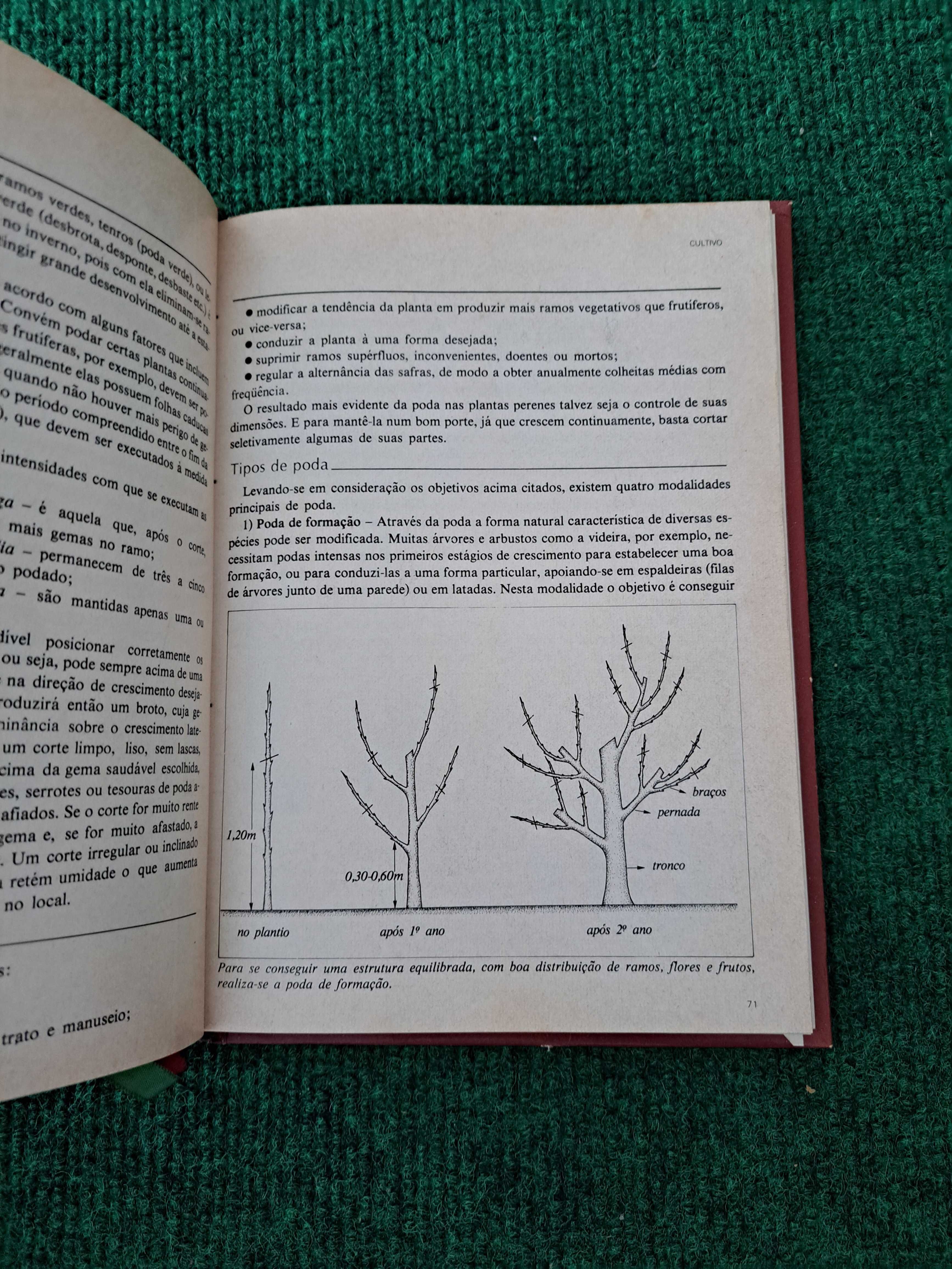 Cultivo - Suplemento de Plantas que Curam