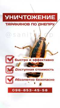 Дезинфекция Уничтожение тараканов, Травля клопов, блох, крыс, мышей
