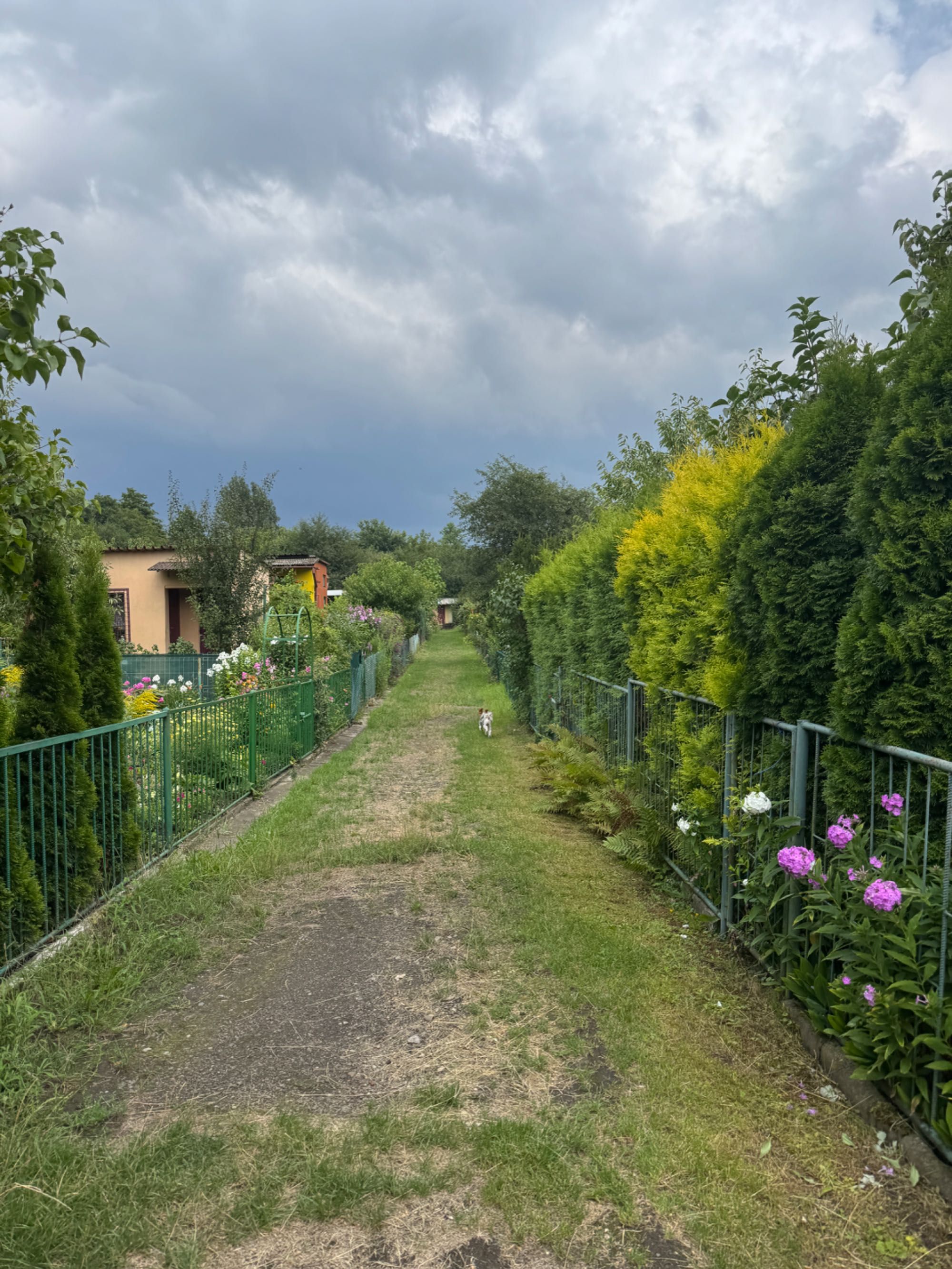 Działka na ogródkach działkowych ROD