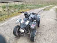 Quad Pioneer 150