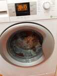 Pralka Beko wmb 71242 pl ptlma , części, szufladka