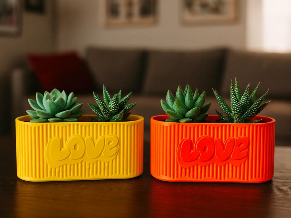 Vaso "Love Duo" para Duas Suculentas