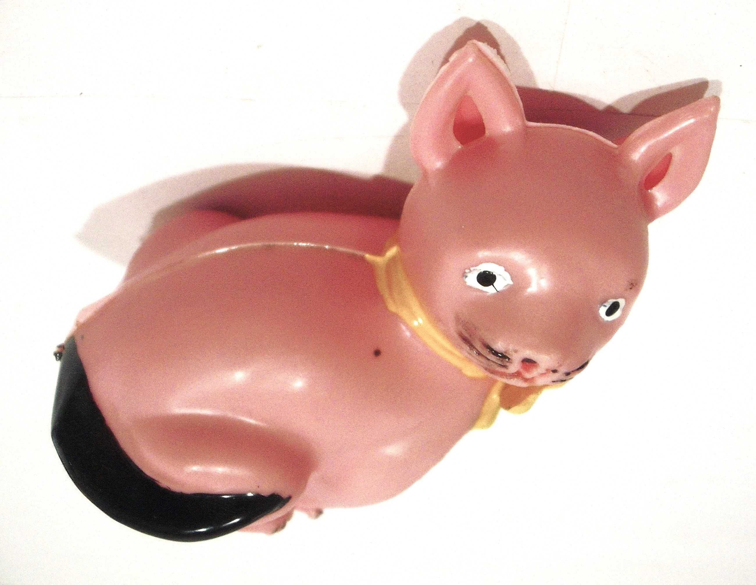 PEPE - Gatinho sentado