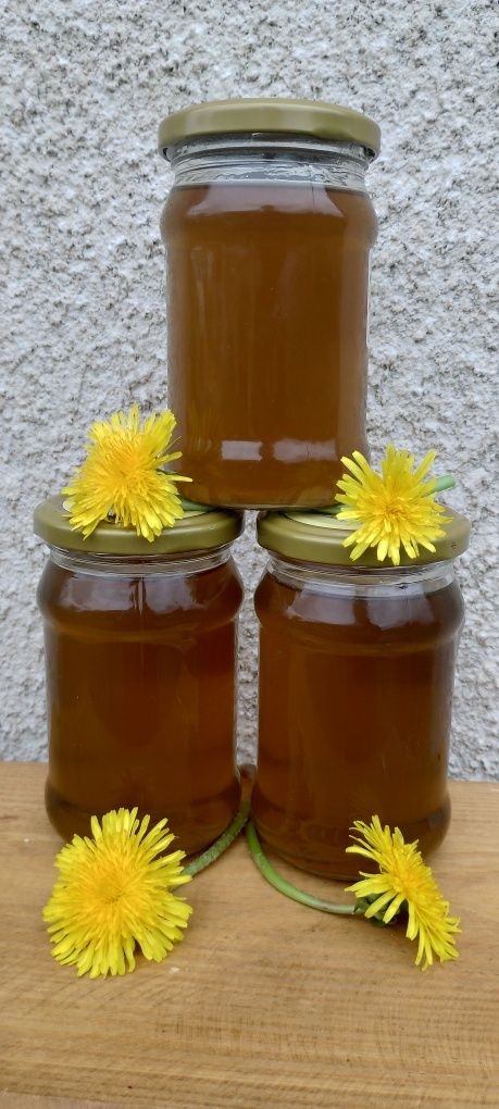 Syrop z mniszka lekarskiego