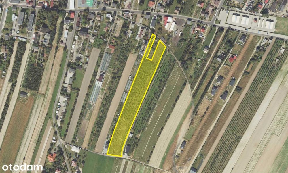 Sprzedam grunt 1.5268 ha w miejscowości gminnej Zagórów