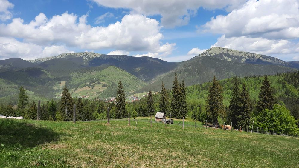 Земля 2 км від Паляниці. 13 соток з видом на Хом'як та Синяк