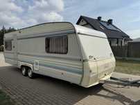 Wilk 600 zadbany