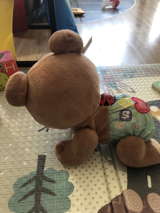 Miś tuptus raczkujacy